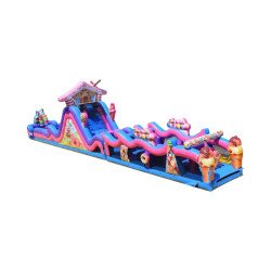 Candy Land Run and Slide (Wet or Dry)